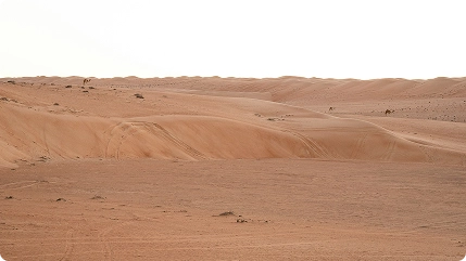 Désert de Wahiba Sands